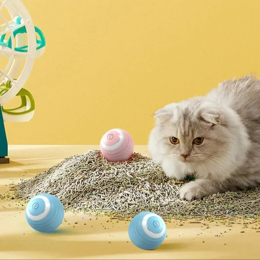 Magic Motion Cat Ball – Interaktives, selbstrollendes Spielzeug für Kätzchen und Katzen