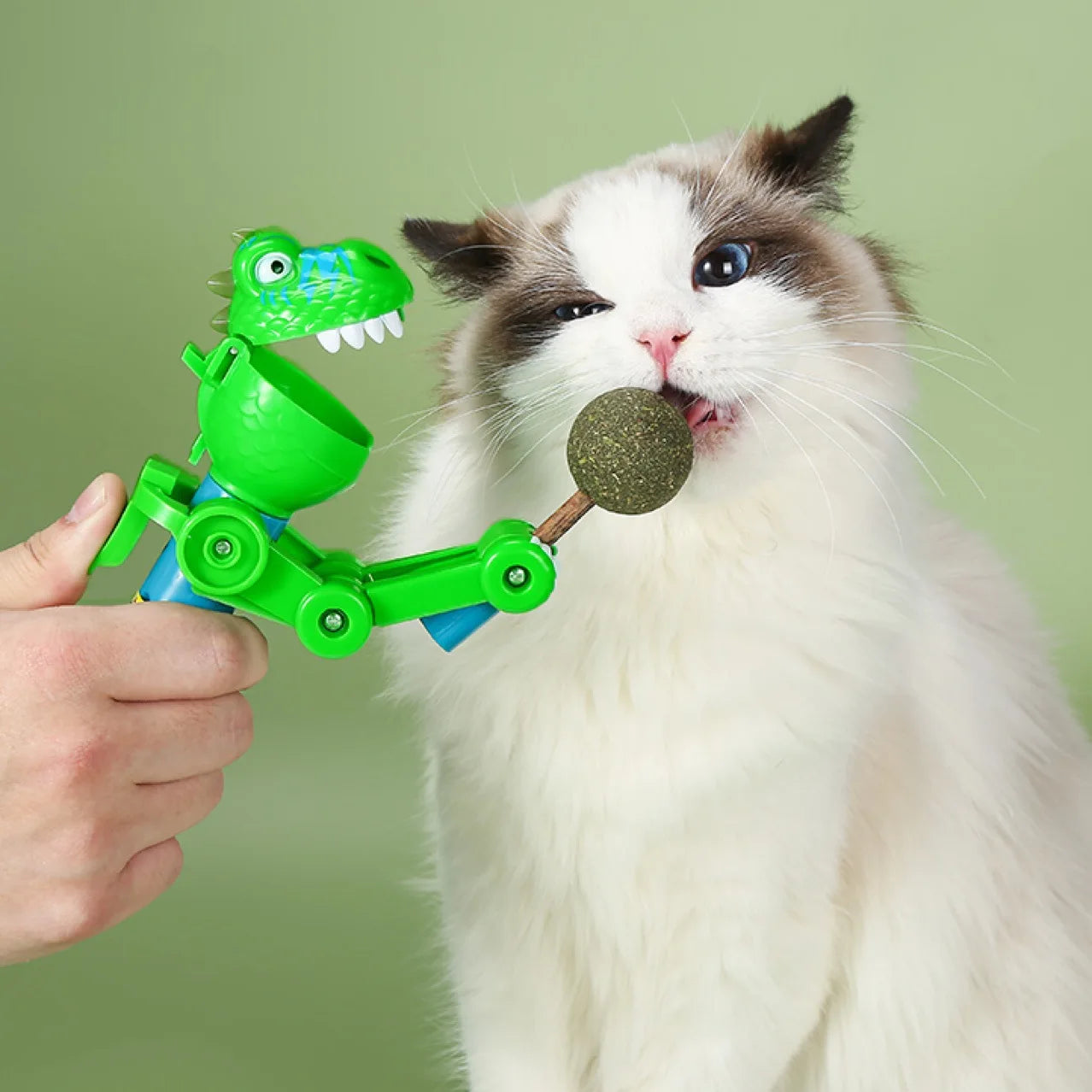 Dino Delight Duo: Cute Robot Lollipop Cat Teasers with Catnip Storage