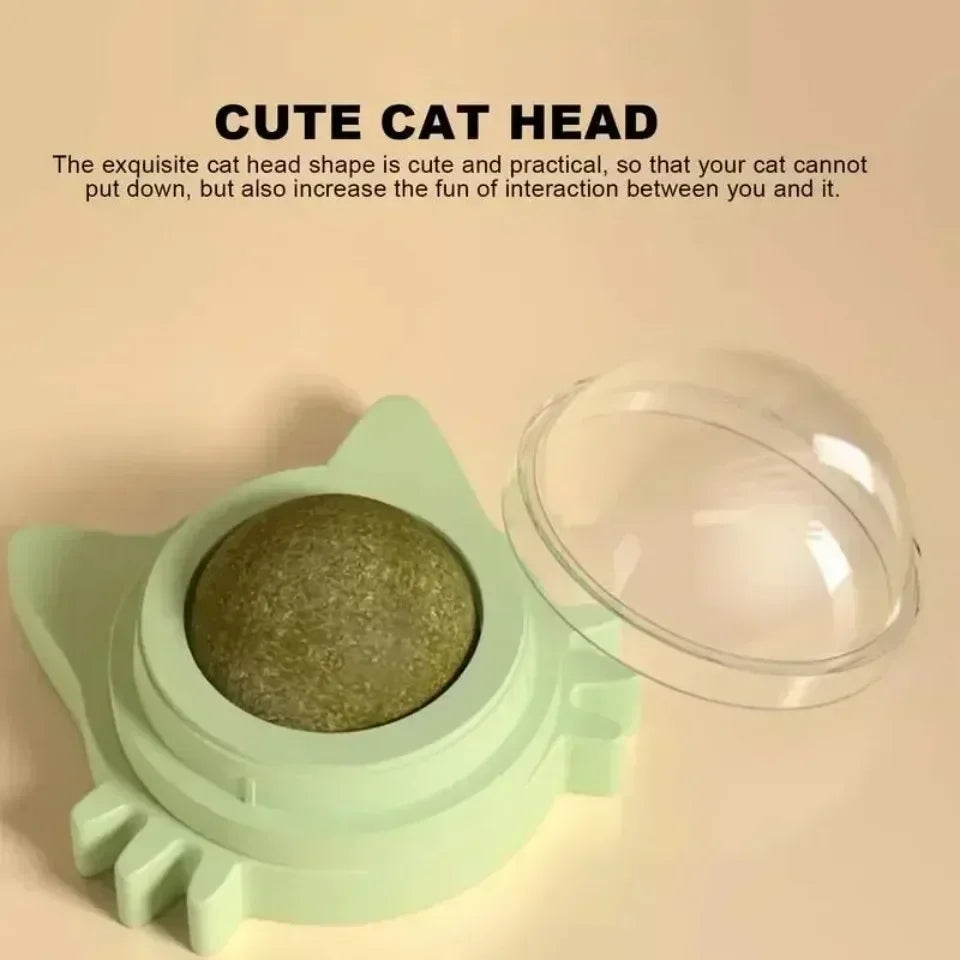 Catnip Lick & Play Balls for Cats