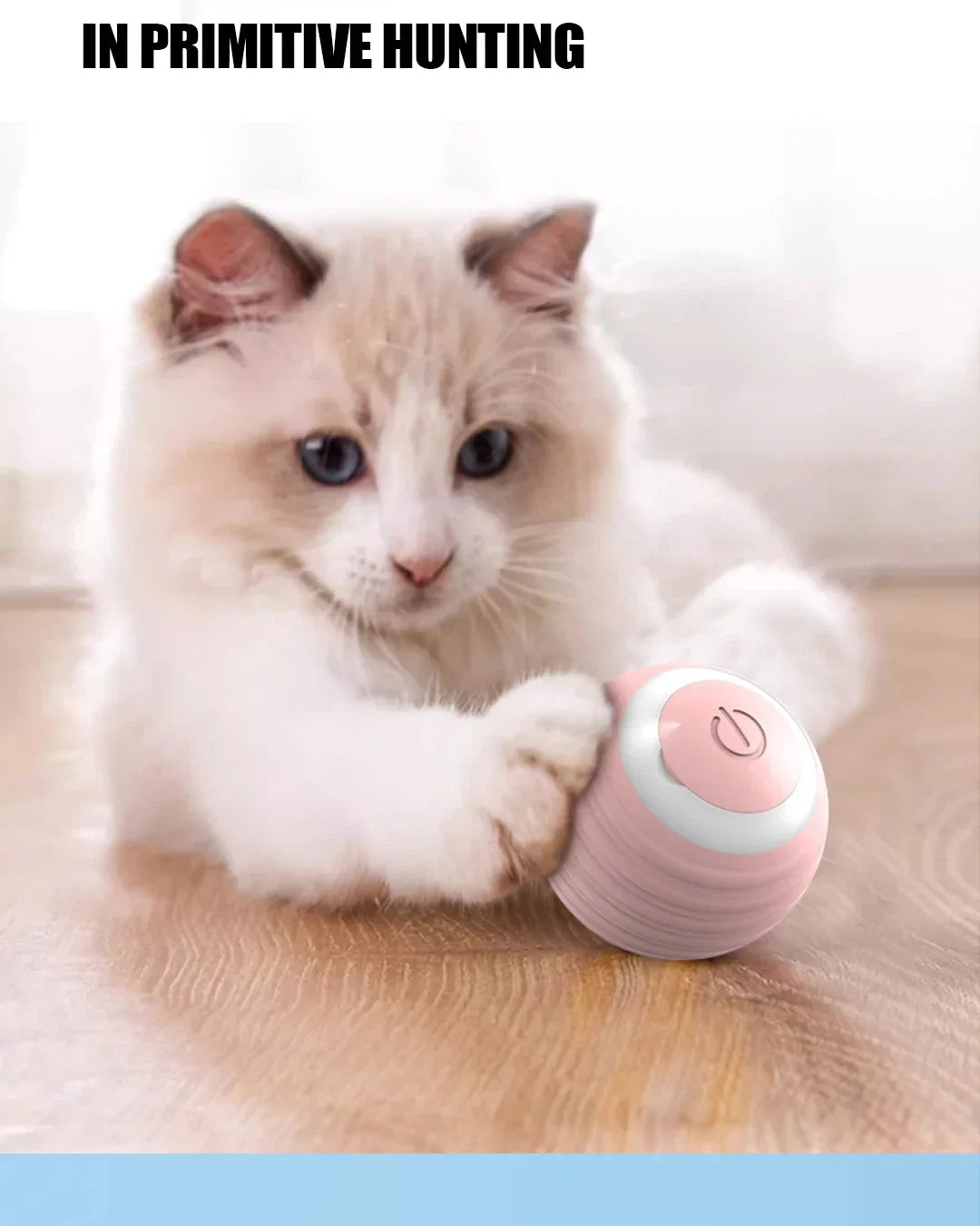 Magic Motion Cat Ball – Interaktives, selbstrollendes Spielzeug für Kätzchen und Katzen