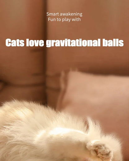 Magic Motion Cat Ball - Interactive, Self-Rolling Toy for Kittens & Cats