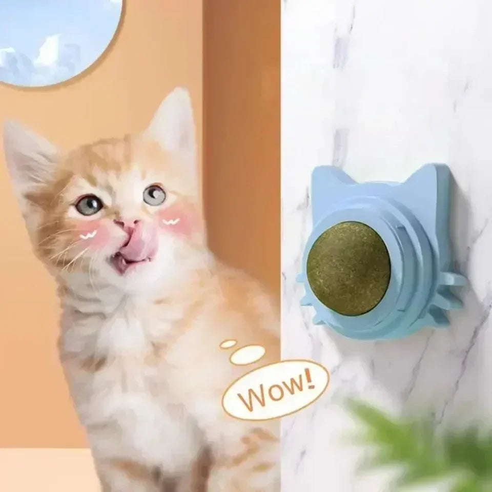 Catnip Lick & Play Balls for Cats