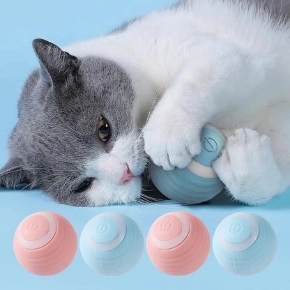 Magic Motion Cat Ball - Interactive, Self-Rolling Toy for Kittens & Cats