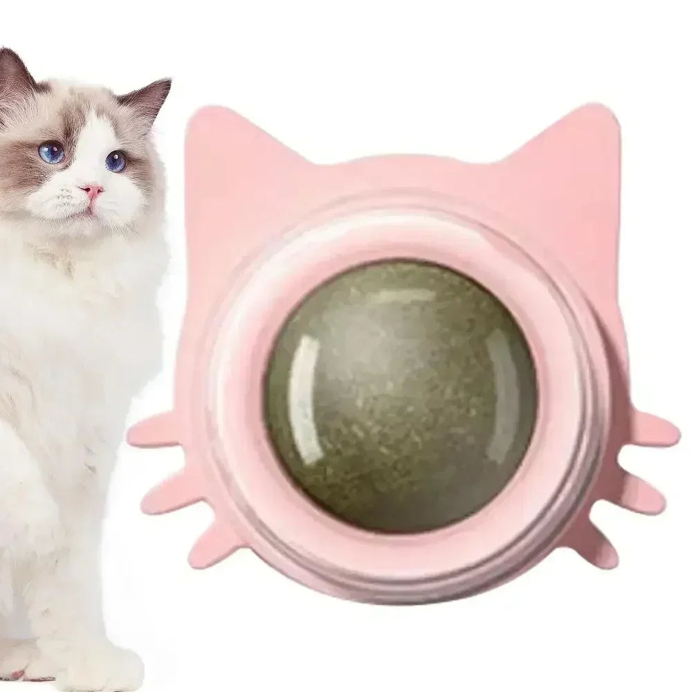 Catnip Lick & Play Balls for Cats