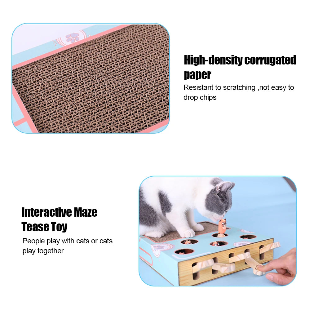 Ultimate 3-in-1 Cat Adventure: Hunt, Scratch, and Explore Game Box