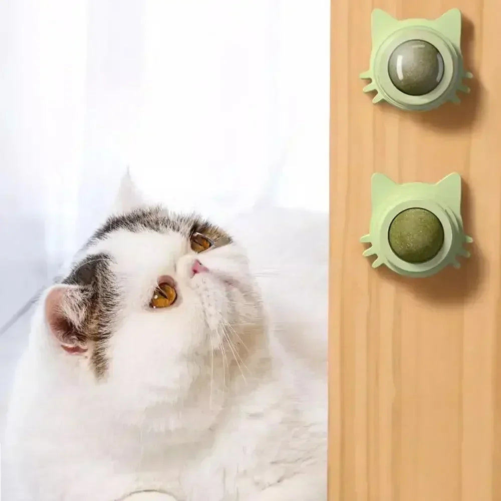 Catnip Lick & Play Balls for Cats