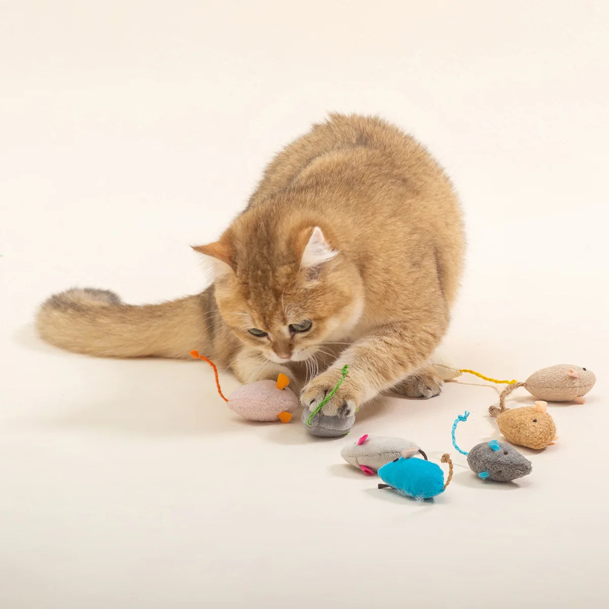 Funny Plush Cat Toy - Soft Interactive Mouse for Kitten Play & Training